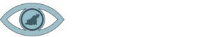 Foresight Safety Logo, A Guernsey based business providing health and safety consultancy services.